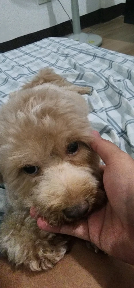 GIF uploaded by Nins