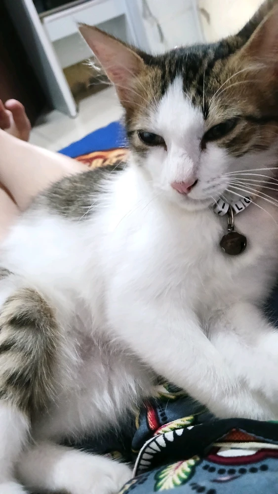 GIF diunggah oleh Aprilia