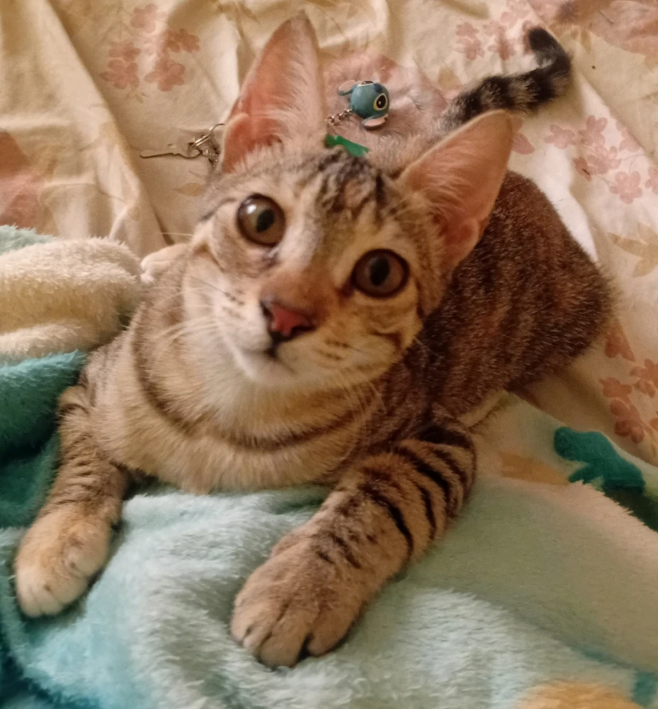 Image uploaded by Nana