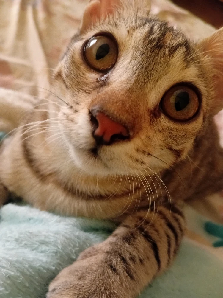 Image uploaded by Nana