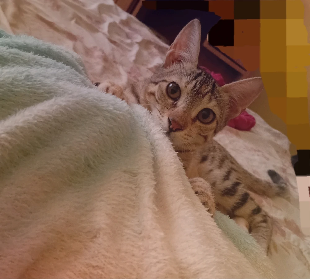 Image uploaded by Nana