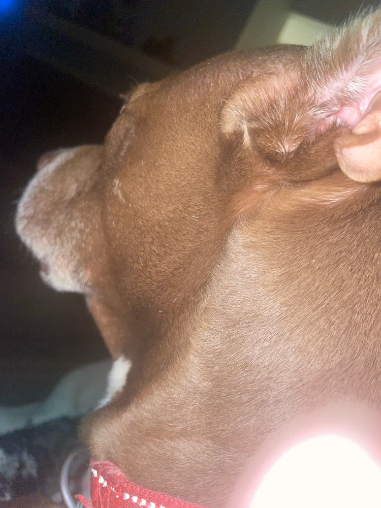 GIF uploaded by Givanni