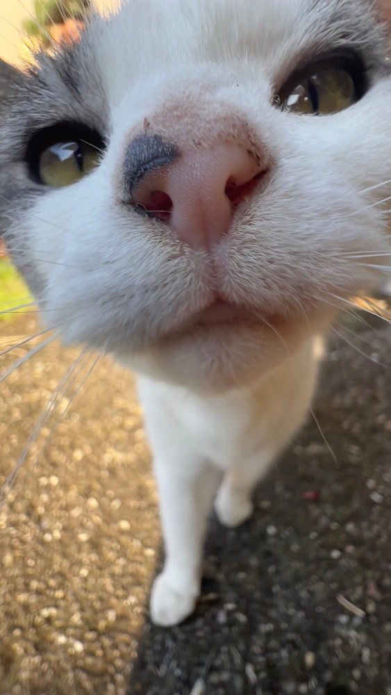 Obrázek nahrál Filip