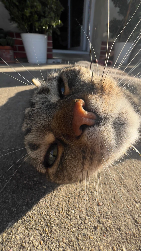 Obrázek nahrál Filip