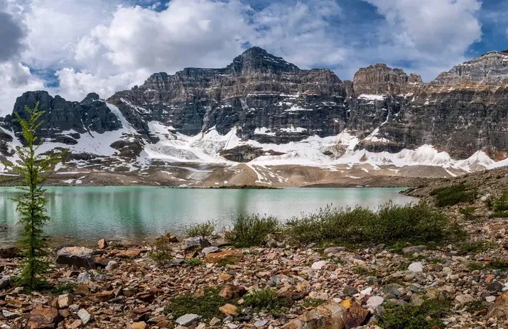 GIF uploaded by Brian