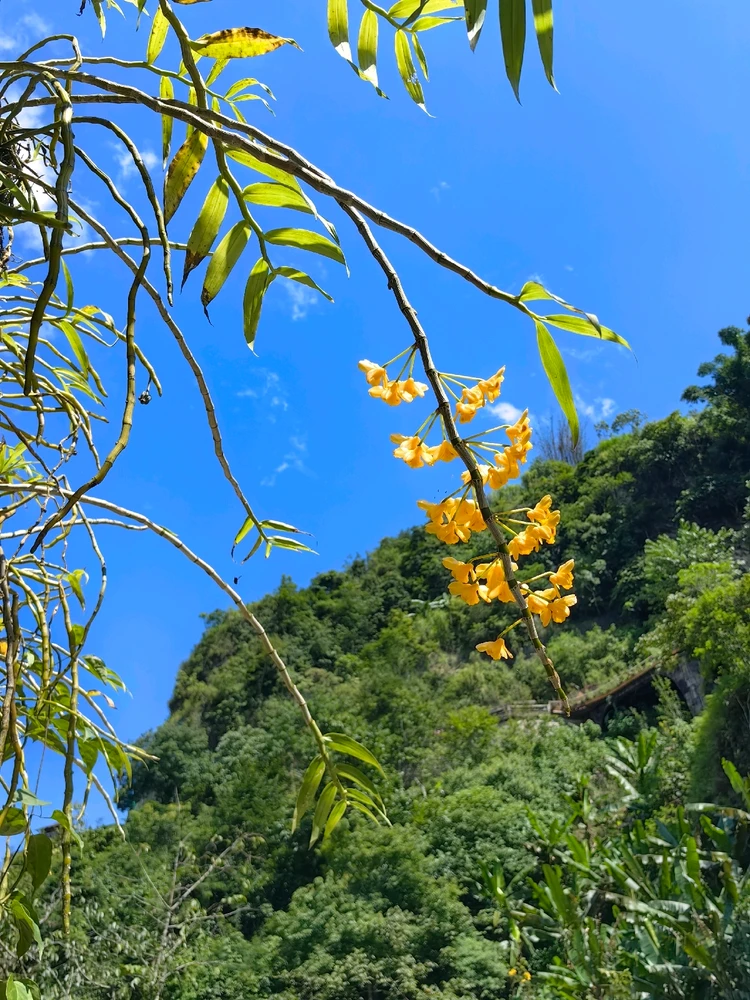 Ảnh do Ruby tải lên