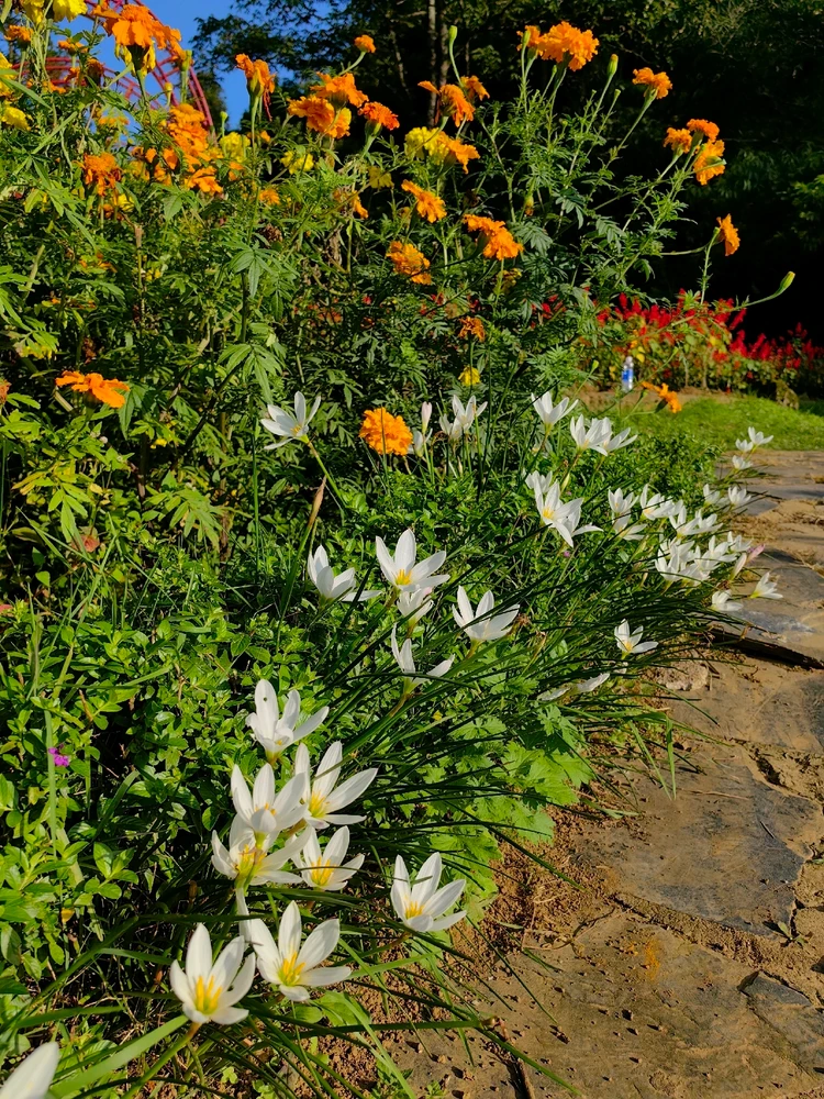 Ảnh do Ruby tải lên