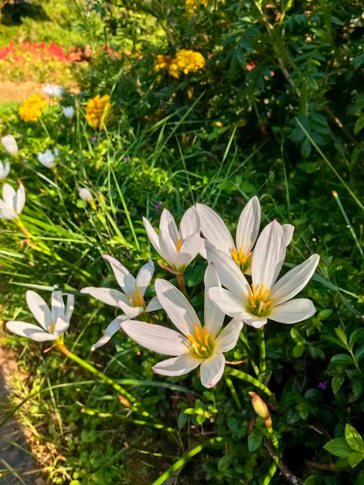 Ảnh do Ruby tải lên