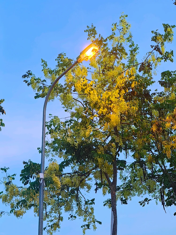 Ảnh do Ruby tải lên