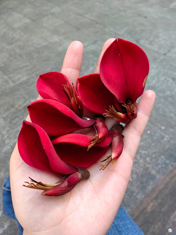 Ảnh do Ruby tải lên