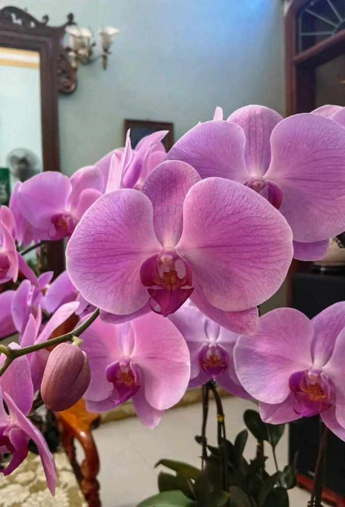 Ảnh do Ruby tải lên