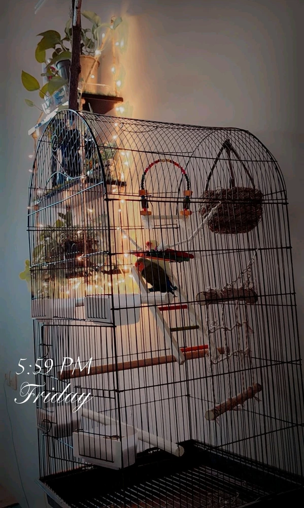 GIF آپلود شده توسط Reza