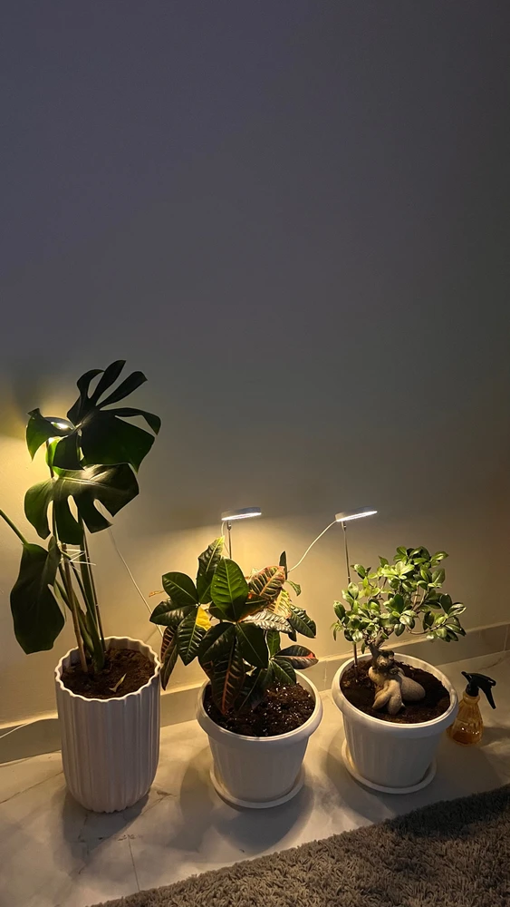 GIF uploaded by Houssem