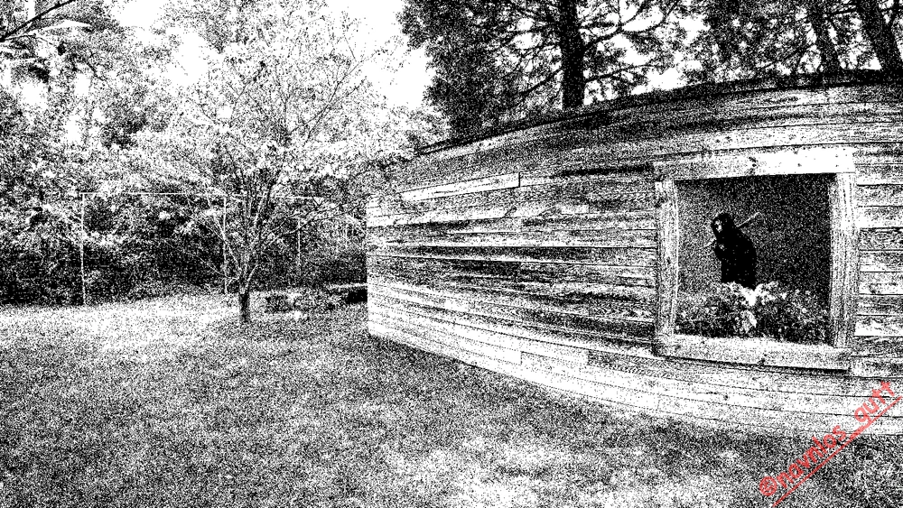 GIF uploaded by Mike