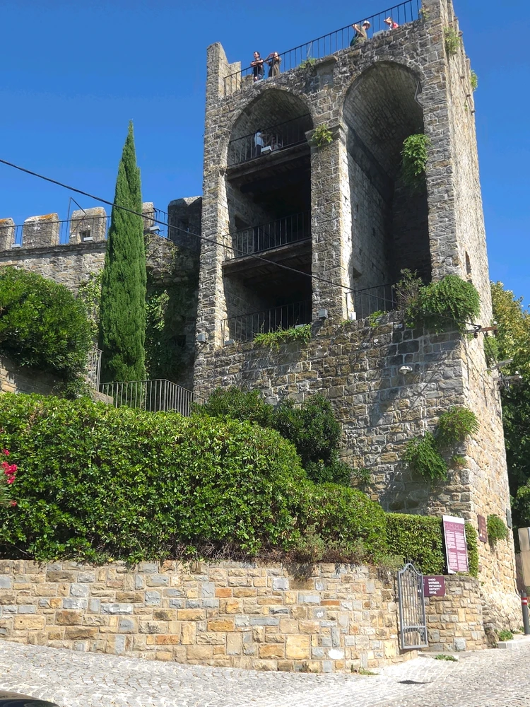 Image uploaded by Monika