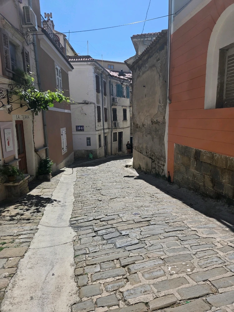 Image uploaded by Monika