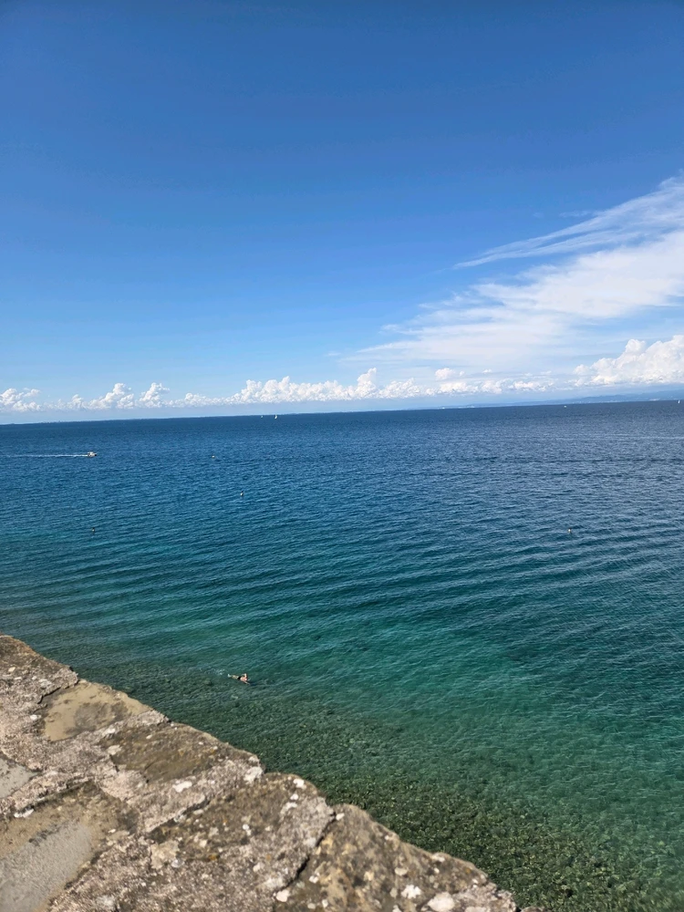 Image uploaded by Monika