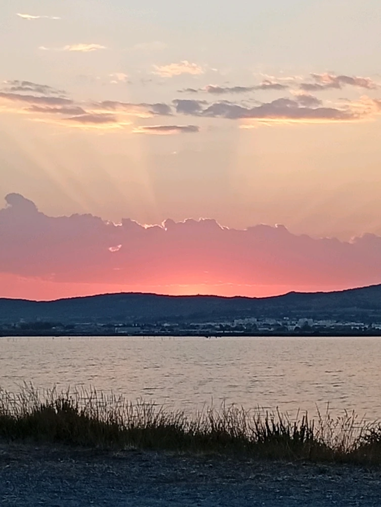 Image ajoutée par Ꭻລԁ𝙚