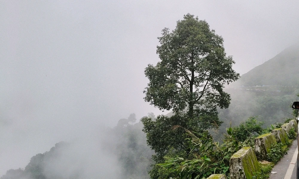 GIF uploaded by Esha