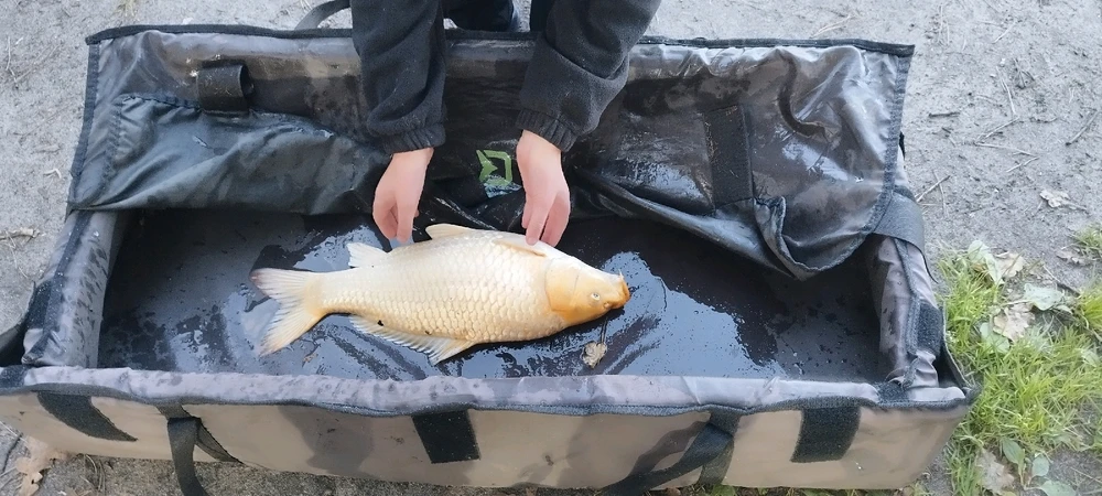 Zdjęcie dodane przez Matii