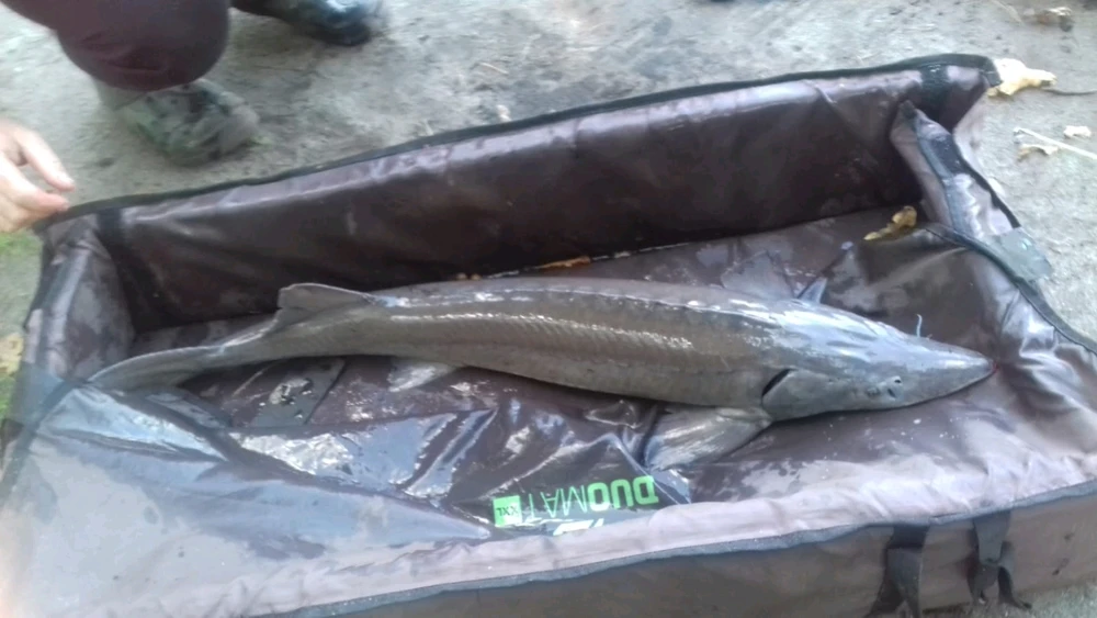 Zdjęcie dodane przez Matii