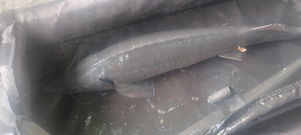 Zdjęcie dodane przez Matii