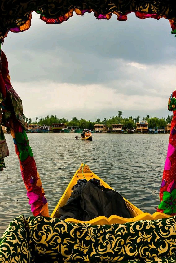 Image uploaded by Dikshita