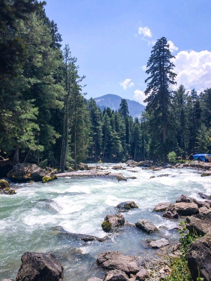 Image uploaded by Dikshita