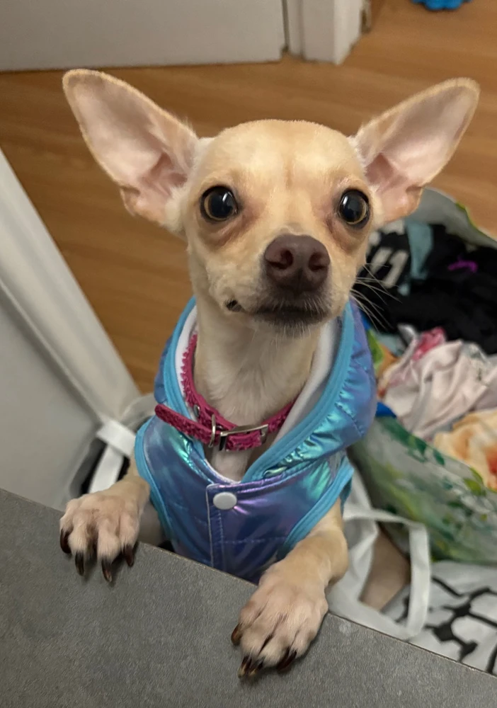 GIF uploaded by Elena