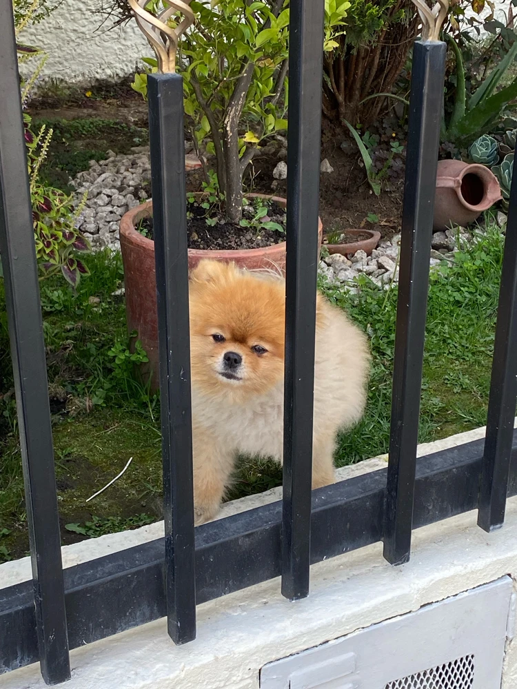 GIF subido por isaac