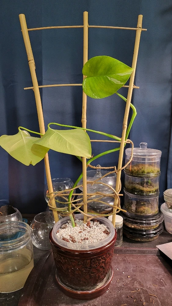 Image uploaded by 𝑺𝑨𝑴𝑯𝑨𝑰𝑵