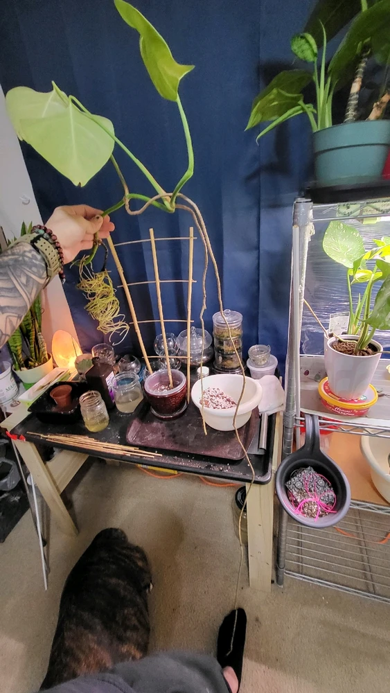 Image uploaded by 𝑺𝑨𝑴𝑯𝑨𝑰𝑵