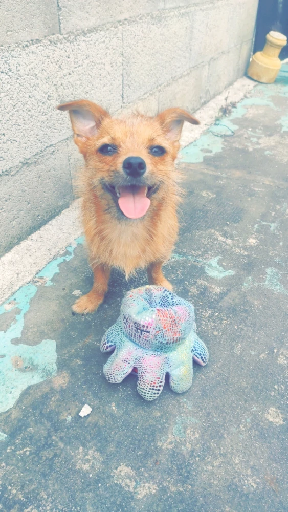 GIF ajouté par Lucien