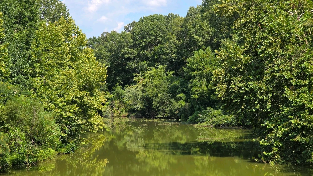 Image uploaded by Josh