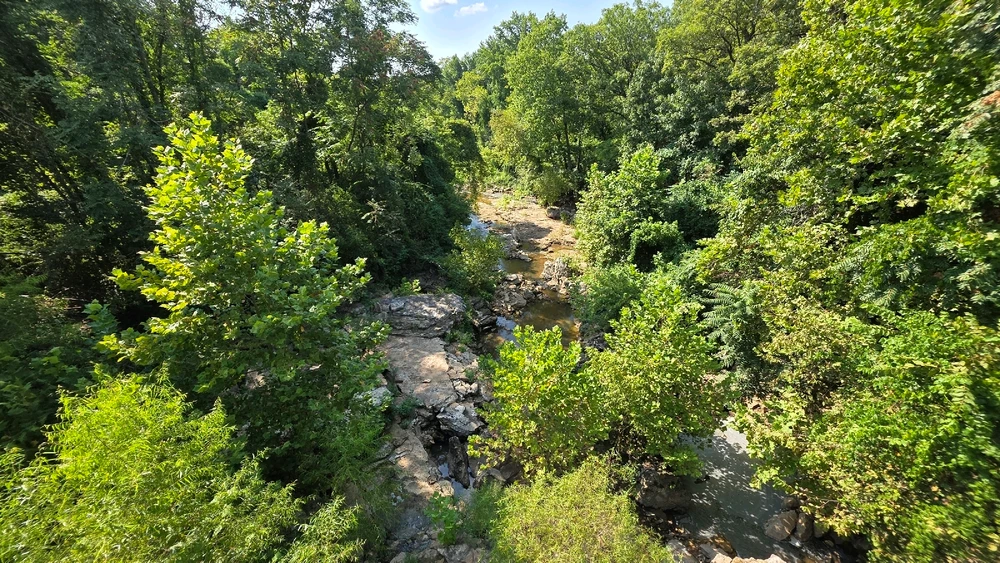 Image uploaded by Josh