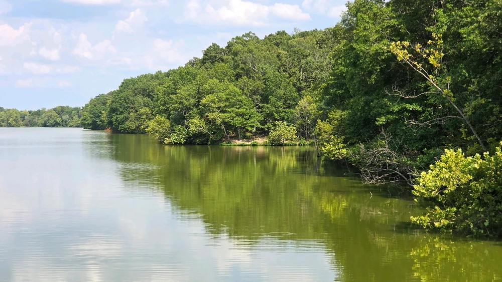 Image uploaded by Josh