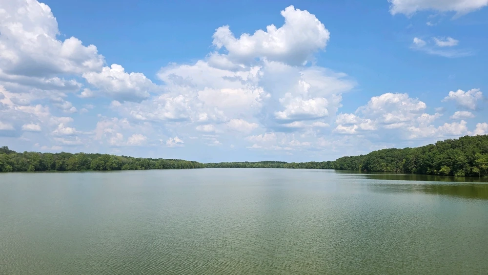 Image uploaded by Josh