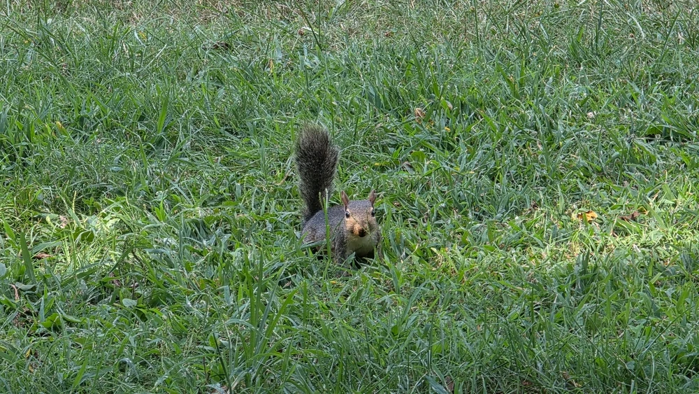 Image uploaded by Josh