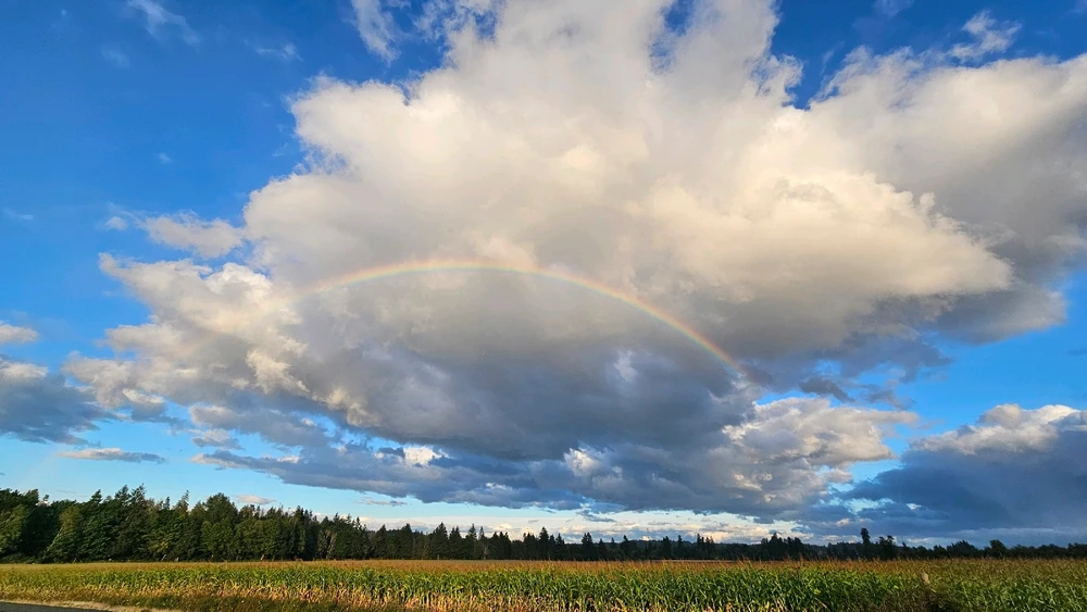 GIF uploaded by Kurian