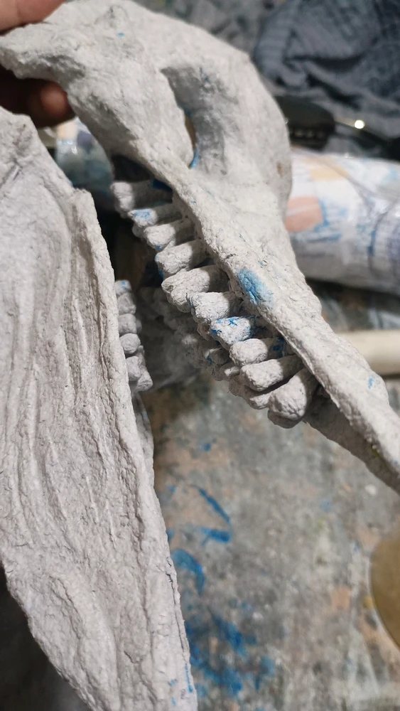 Imagem enviada por Felipe