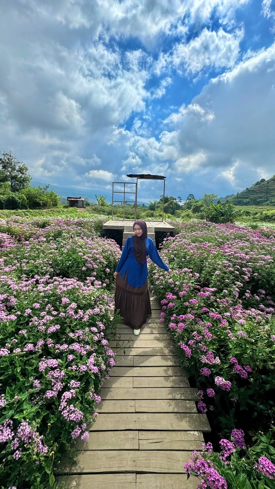 Gi-upload ni linz ang hulagway