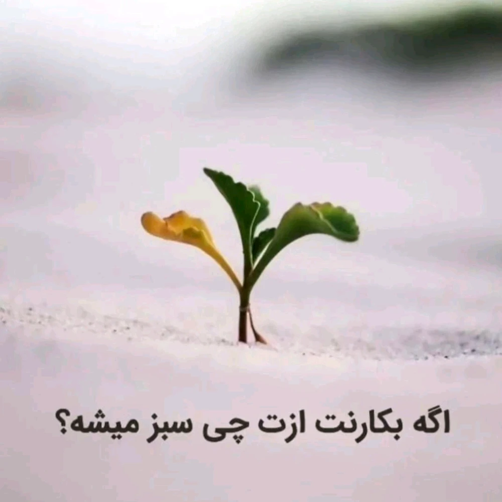 GIF آپلود شده توسط Mohsen