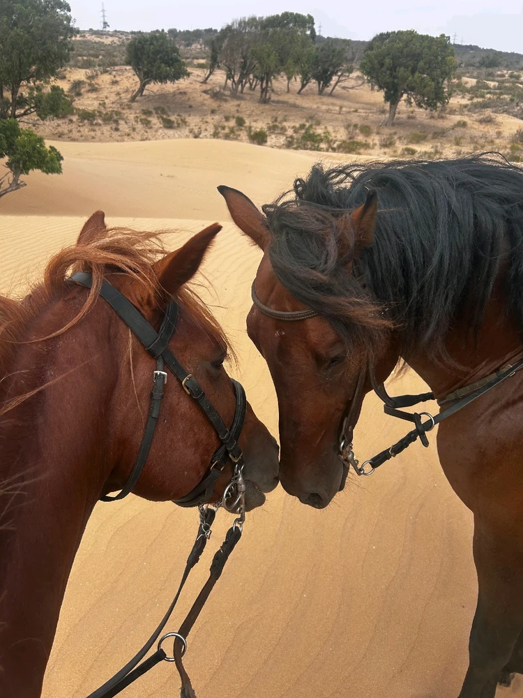 GIF dodany przez Kambi