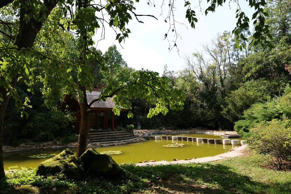 Fotku nahral/-a Gabriel