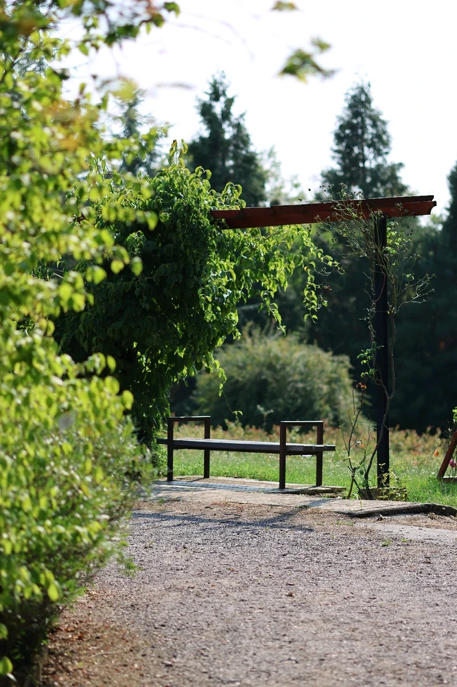 Fotku nahral/-a Gabriel