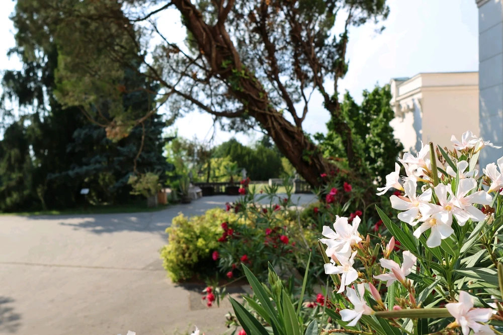 Fotku nahral/-a Gabriel