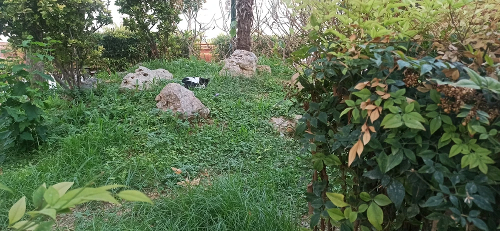 GIF dodany przez Gökhan