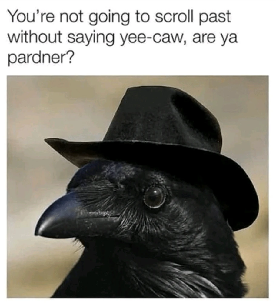 GIF hochgeladen von Kev