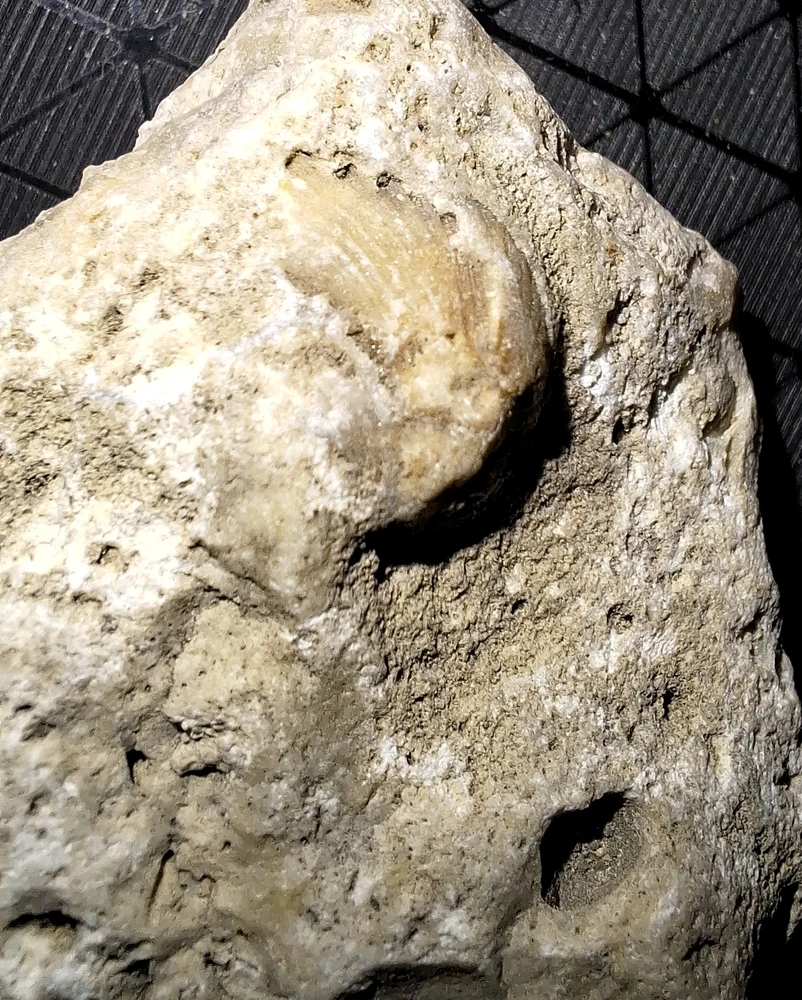 Obrázek nahrál Vašek