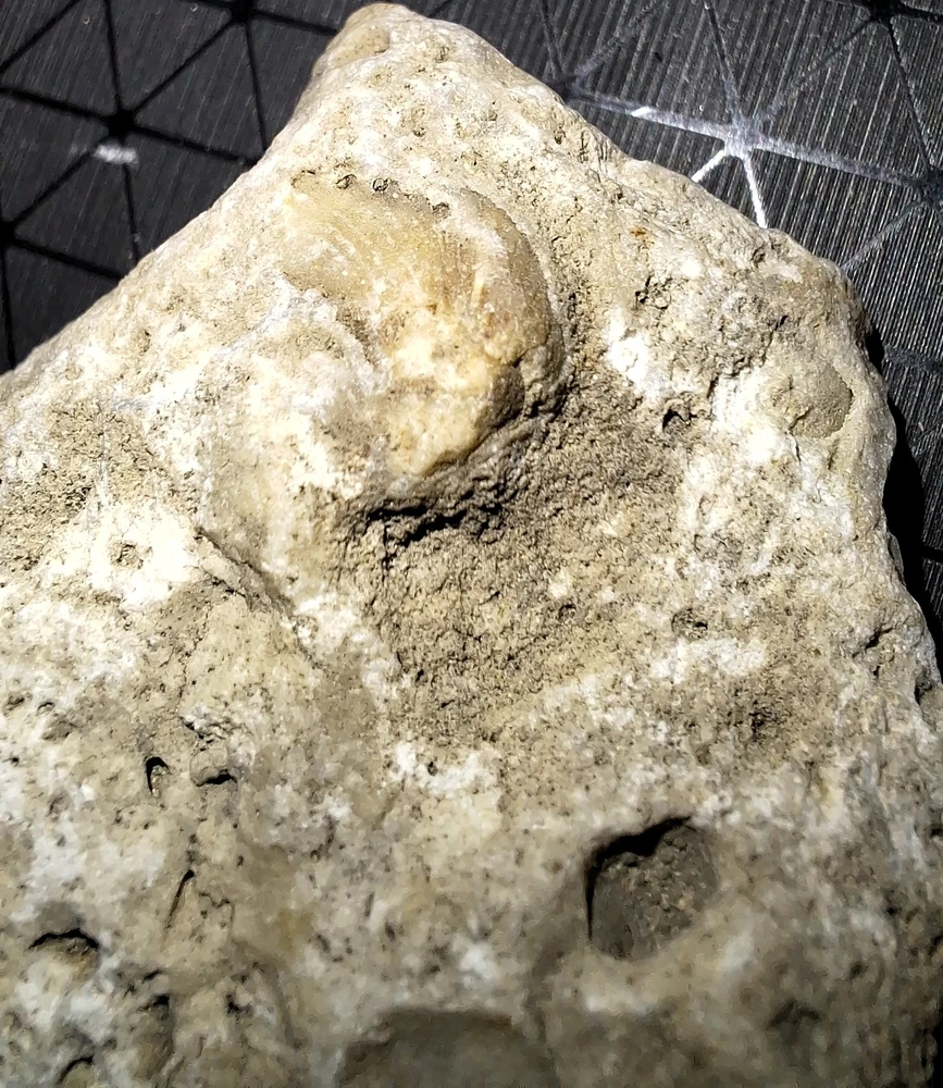 Obrázek nahrál Vašek